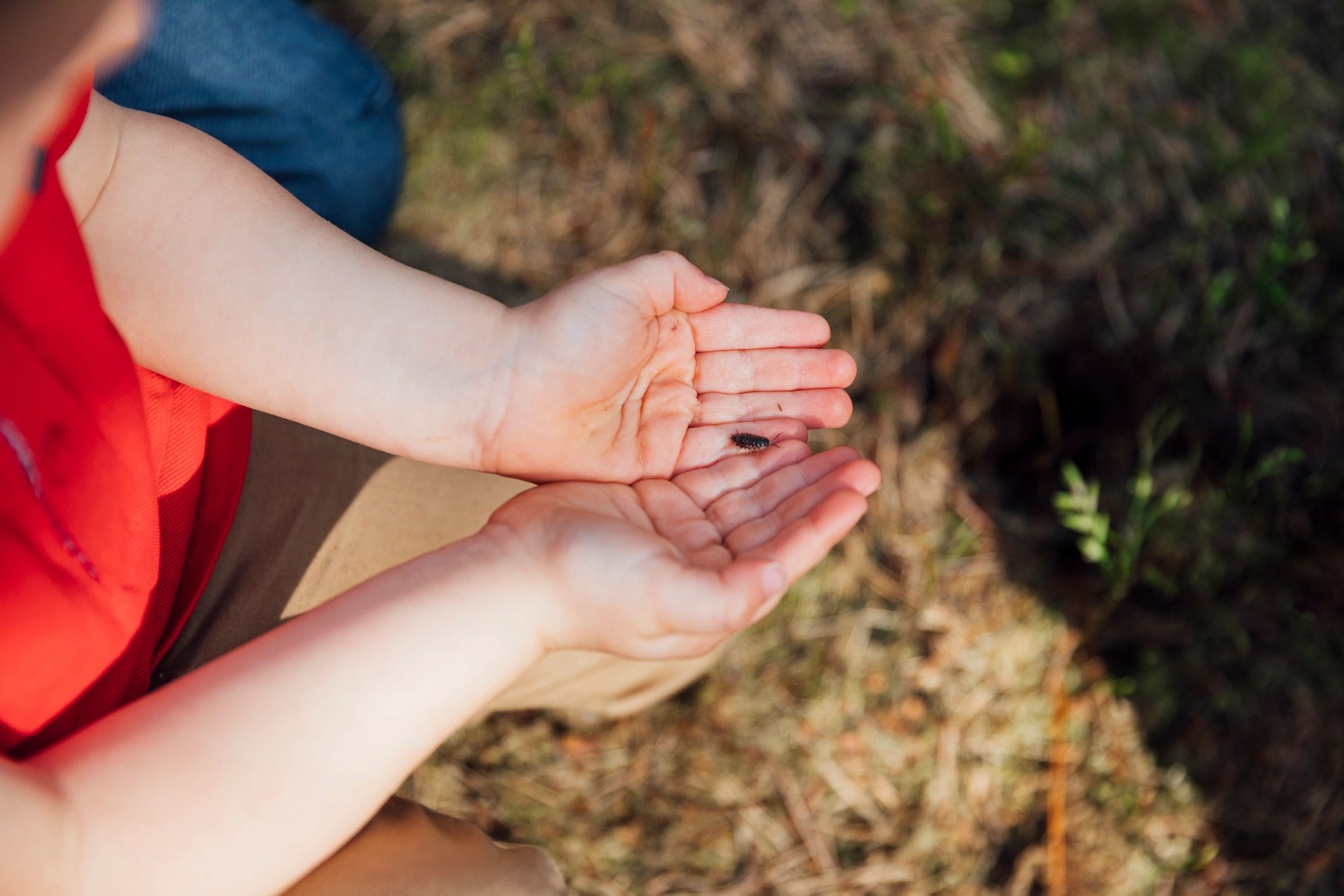 Child holding a small nature find during a sensory moment