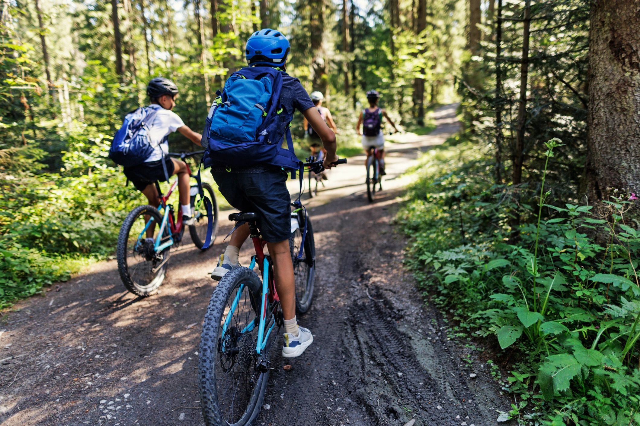 Family biking together on a forest path